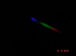 NEVA-Optik Planreflexgitter Spektrum